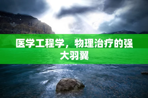 医学工程学，物理治疗的强大羽翼