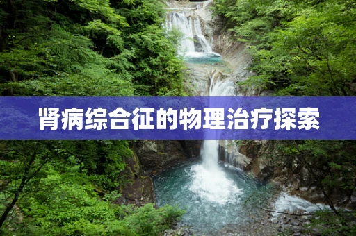 肾病综合征的物理治疗探索