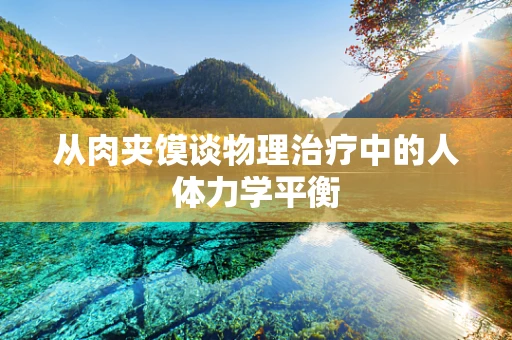 从肉夹馍谈物理治疗中的人体力学平衡