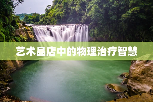 艺术品店中的物理治疗智慧
