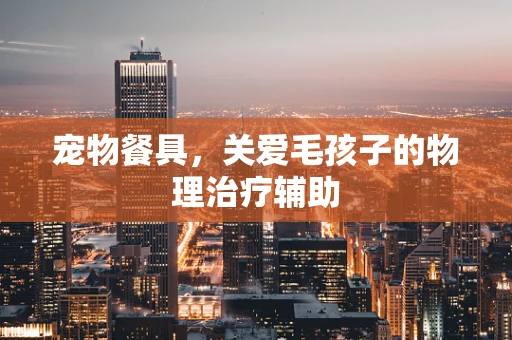 宠物餐具，关爱毛孩子的物理治疗辅助