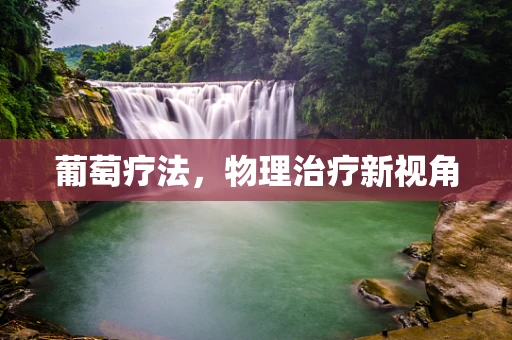 葡萄疗法，物理治疗新视角