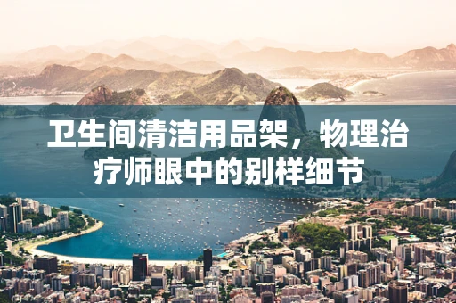卫生间清洁用品架，物理治疗师眼中的别样细节