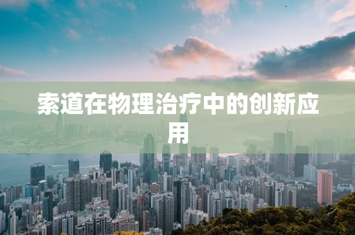 索道在物理治疗中的创新应用
