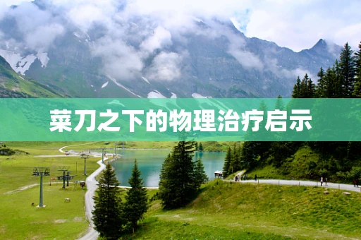 菜刀之下的物理治疗启示