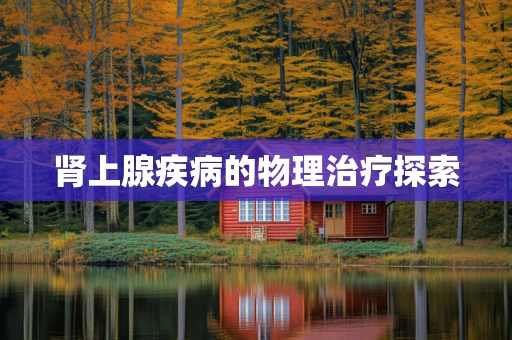肾上腺疾病的物理治疗探索