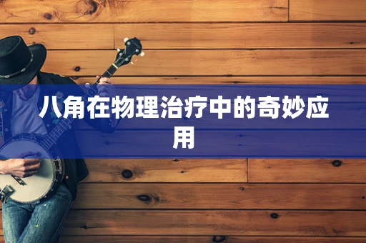 八角在物理治疗中的奇妙应用