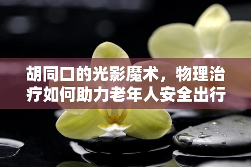 胡同口的光影魔术，物理治疗如何助力老年人安全出行？