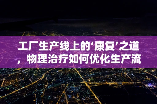 工厂生产线上的‘康复’之道，物理治疗如何优化生产流程？