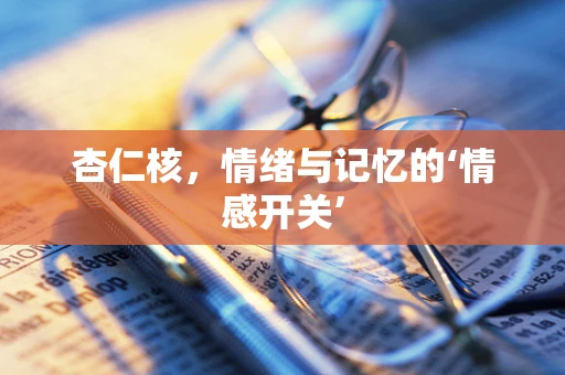 杏仁核，情绪与记忆的‘情感开关’