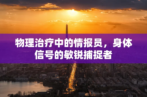 物理治疗中的情报员，身体信号的敏锐捕捉者