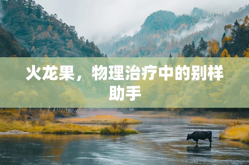 火龙果，物理治疗中的别样助手