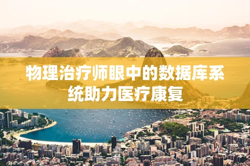 物理治疗师眼中的数据库系统助力医疗康复