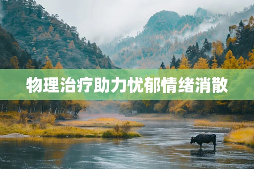 物理治疗助力忧郁情绪消散
