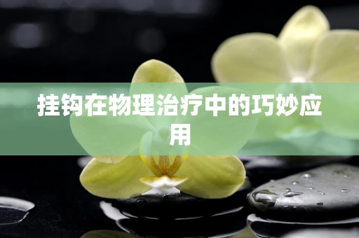 挂钩在物理治疗中的巧妙应用
