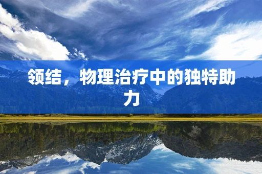 领结，物理治疗中的独特助力