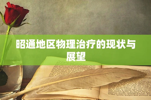 昭通地区物理治疗的现状与展望