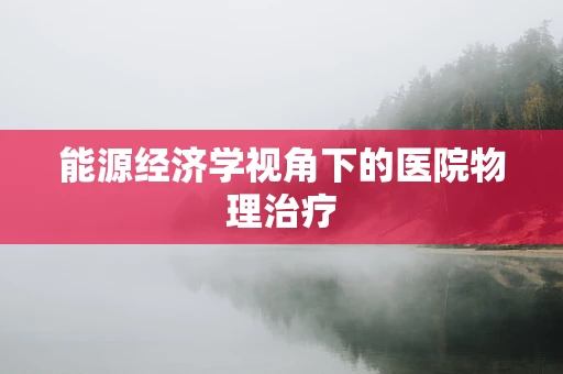 能源经济学视角下的医院物理治疗