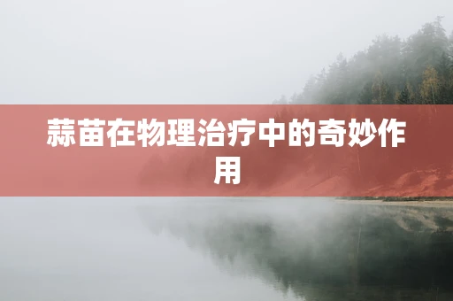 蒜苗在物理治疗中的奇妙作用