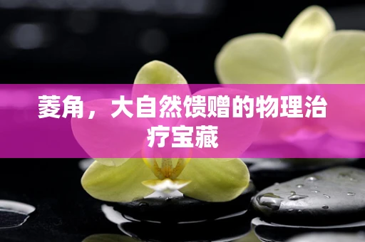 菱角，大自然馈赠的物理治疗宝藏