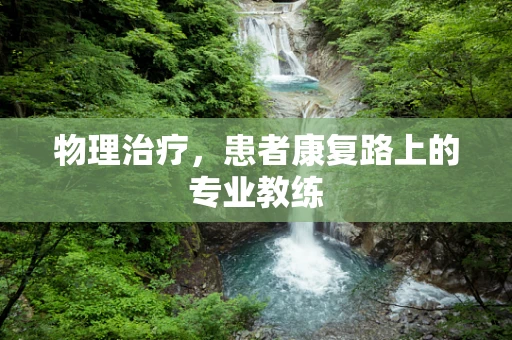 物理治疗，患者康复路上的专业教练