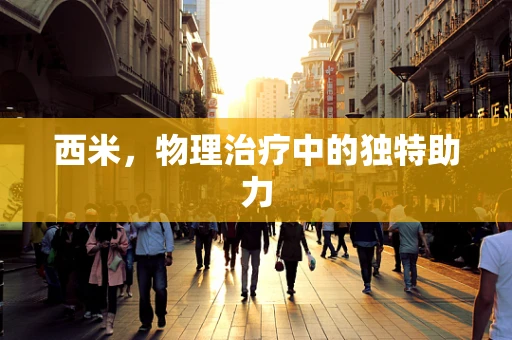 西米，物理治疗中的独特助力