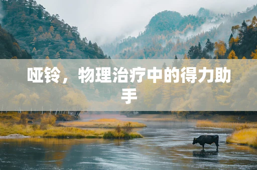 哑铃，物理治疗中的得力助手