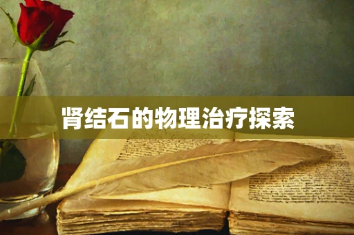 肾结石的物理治疗探索