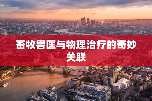 畜牧兽医与物理治疗的奇妙关联