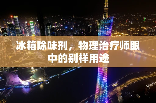 冰箱除味剂，物理治疗师眼中的别样用途