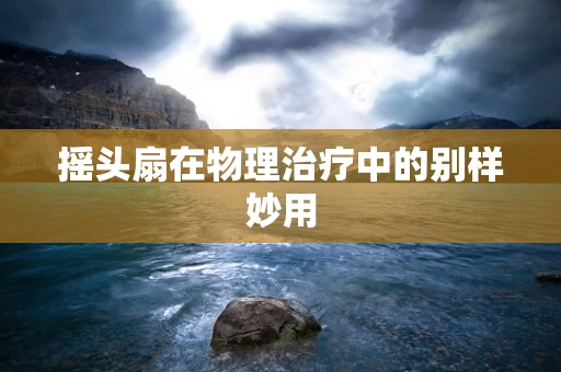 摇头扇在物理治疗中的别样妙用
