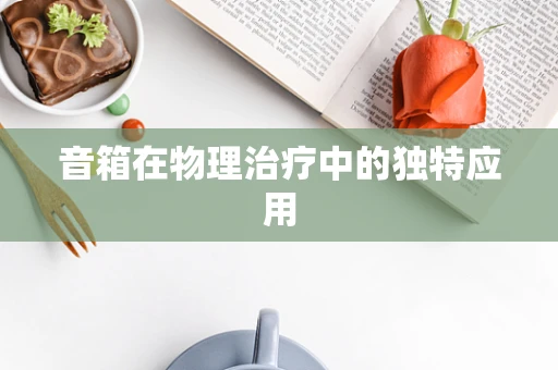 音箱在物理治疗中的独特应用