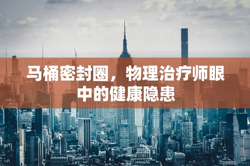 马桶密封圈，物理治疗师眼中的健康隐患