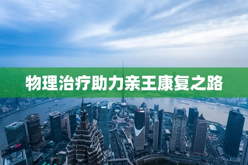 物理治疗助力亲王康复之路