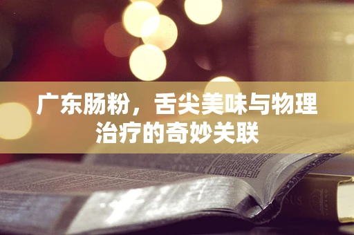广东肠粉，舌尖美味与物理治疗的奇妙关联