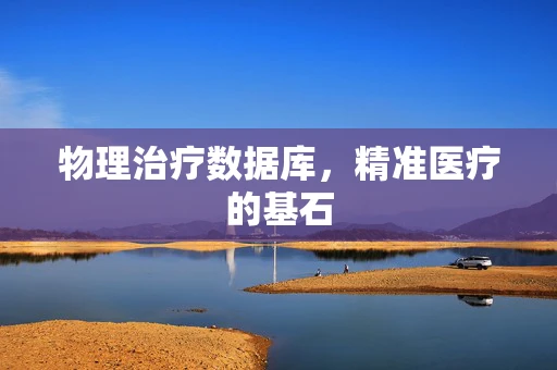 物理治疗数据库，精准医疗的基石