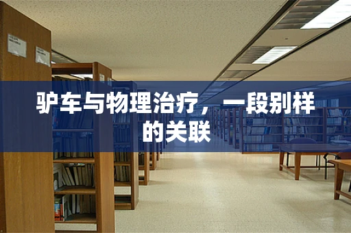 驴车与物理治疗，一段别样的关联