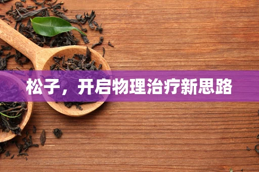松子，开启物理治疗新思路