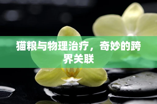 猫粮与物理治疗，奇妙的跨界关联