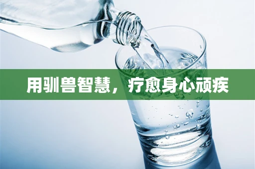 用驯兽智慧，疗愈身心顽疾