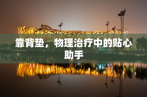 靠背垫，物理治疗中的贴心助手